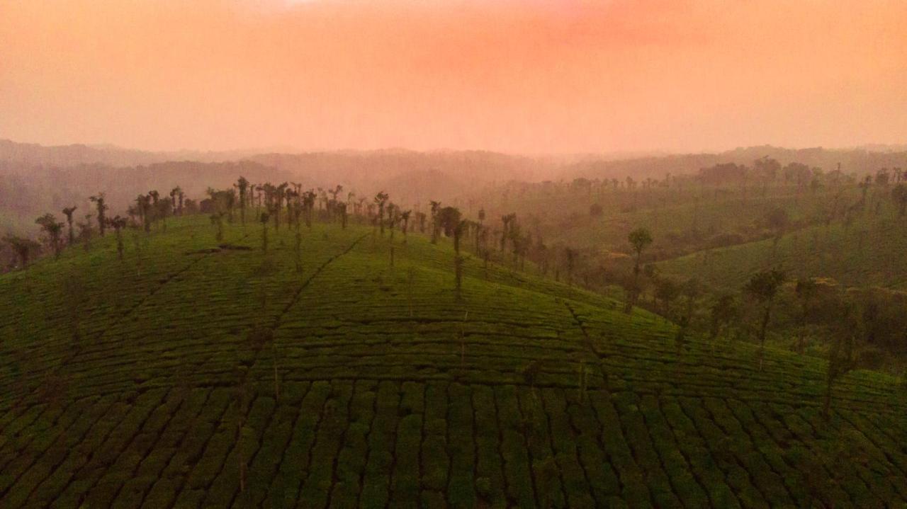 Gonikoppal Ama Plantation Trails Coorg 빌라 외부 사진